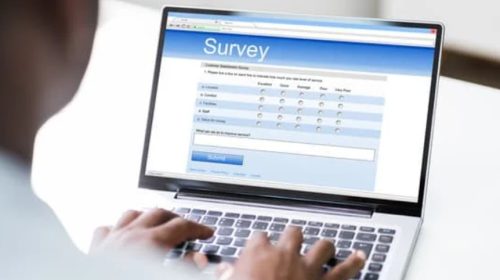 Online Surveys