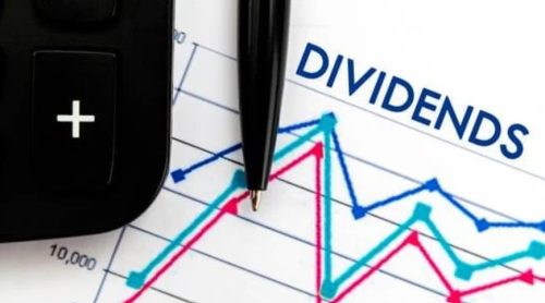 Strategies for Maximizing Dividend Returns