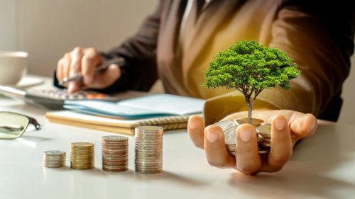 Types of Investments in Small Business