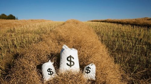 How to Invest in Farmland?